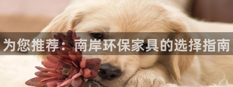 沐鸣2代理1980：为您推荐：南岸环保家具的选择指南