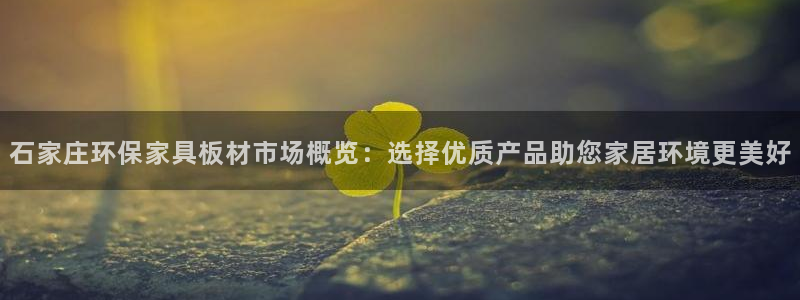 沐鸣2代理登录中心：石家庄环保家具板材市场概览：选择优质产品