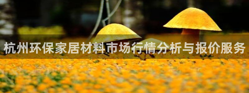 沐鸣2官方娱乐：杭州环保家居材料市场行情分析与报价服务