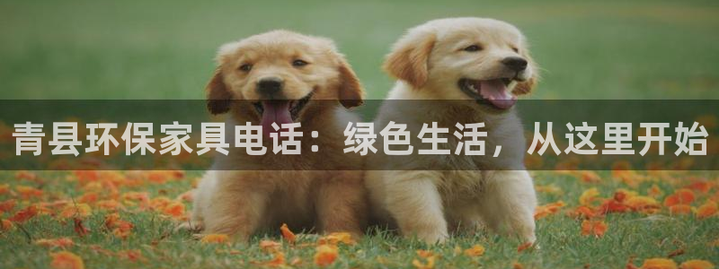 沐鸣2平台测速登录：青县环保家具电话：绿色生活，从这里开始