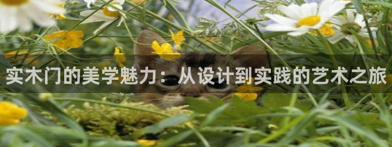 沐鸣2平台已7O777